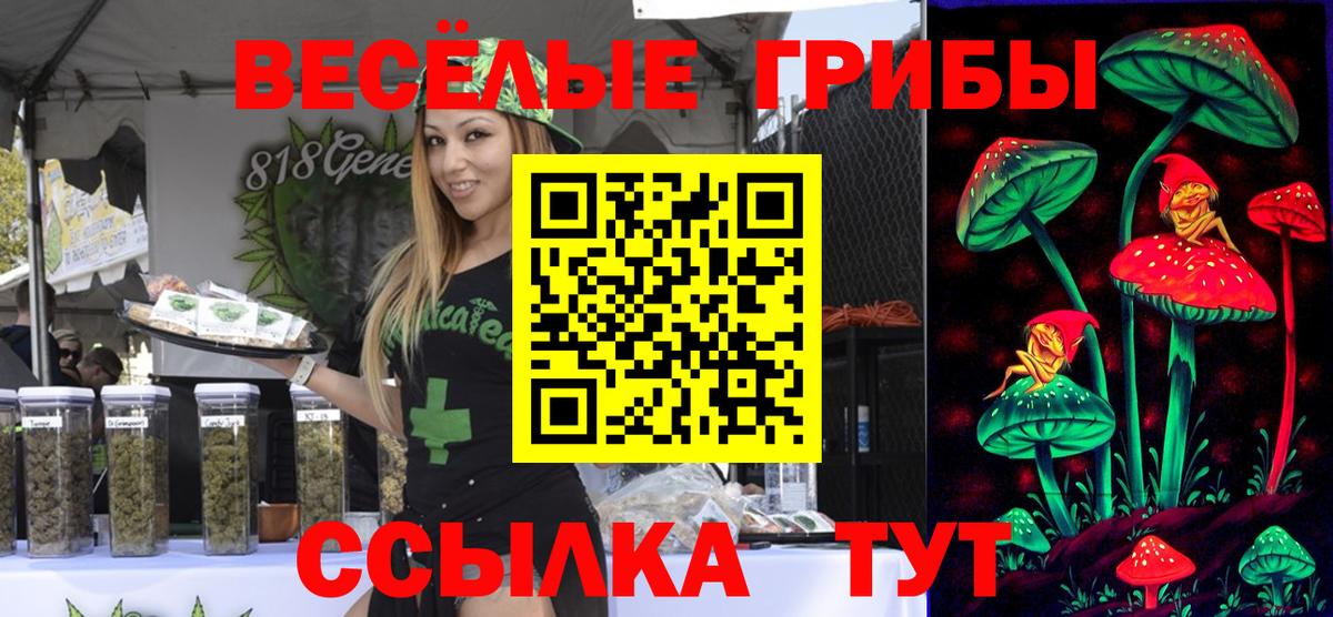 Галлюциногенные грибы прущие грибы Мурманск