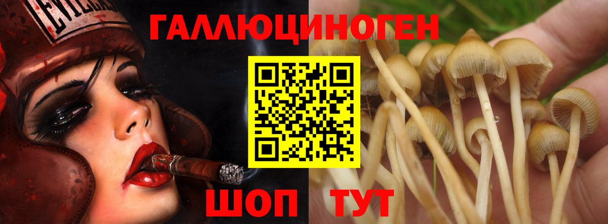Мурманск  Псилоцибиновые грибы Magic Shrooms  Вход с VPN 